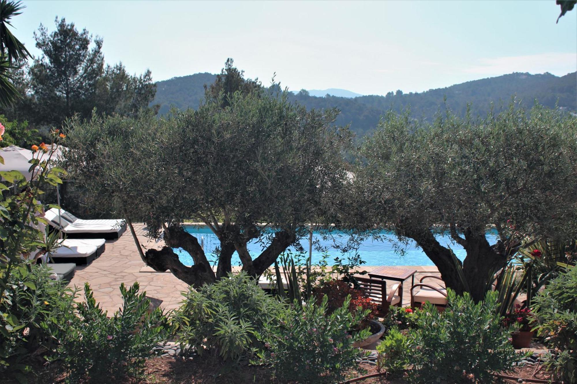 Pardal Sant Miquel de Balansat